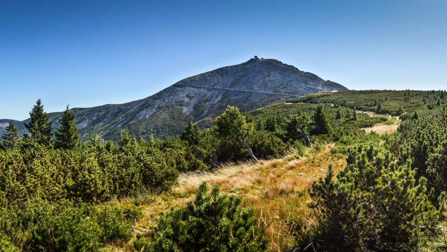 Śnieżka